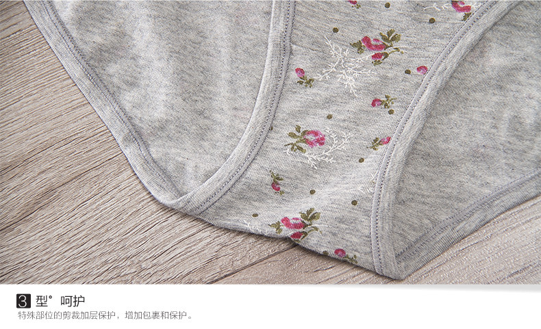 Slip Moyen-âge DNKWC-T6416-3 en coton - Ref 642304 Image 18