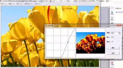 Implementation of VB-based image processing and edge detection