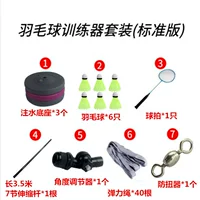 3,5 -метровое телескопическое обучение стержня (стандартная версия) 1 выстрел+6 шаров