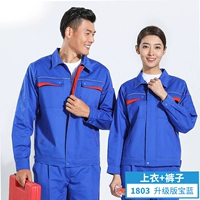 1803 Обновленная версия Royal Blue (Внутреннее края) Top + брюки