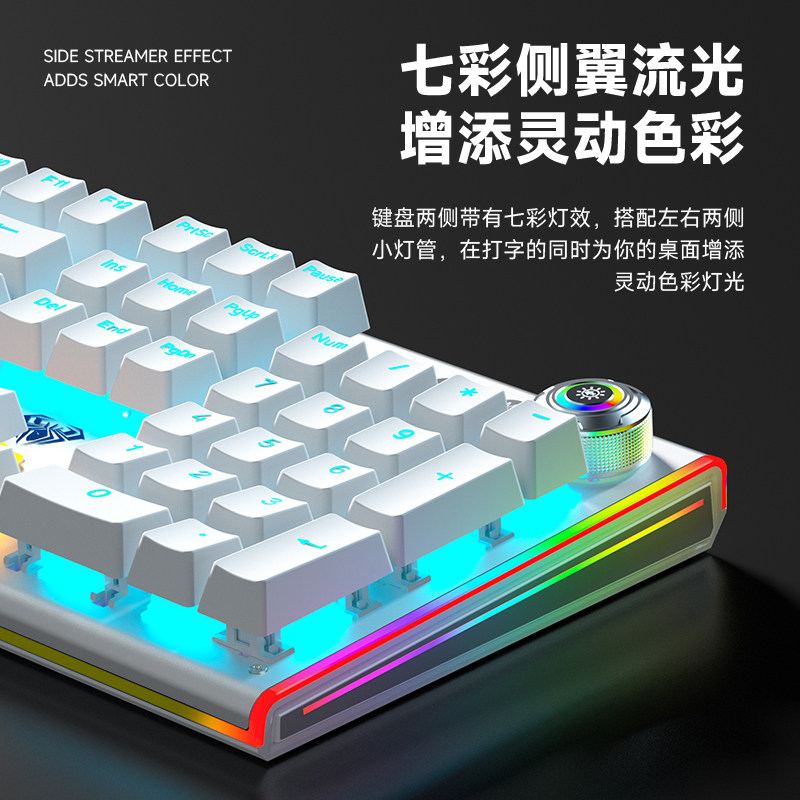 Wolf Spider 108/87 Wired Mechanical Keyboard with Multiple Lighting Effects for Desktop Computers, Office and Gaming Peripherals, Blue, Red, Black