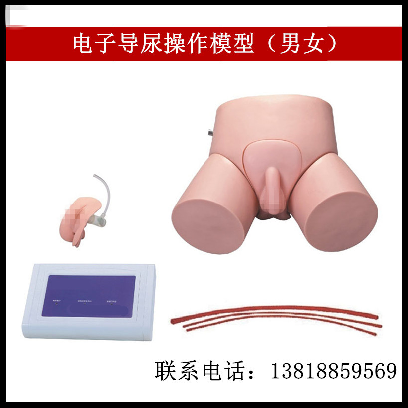 电子男性导尿操作模型 电子女性导尿操作模型
