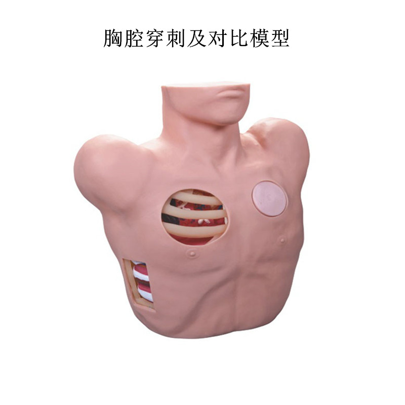 胸腔穿刺引流模型 胸腔穿刺人体模型气液胸处理模型