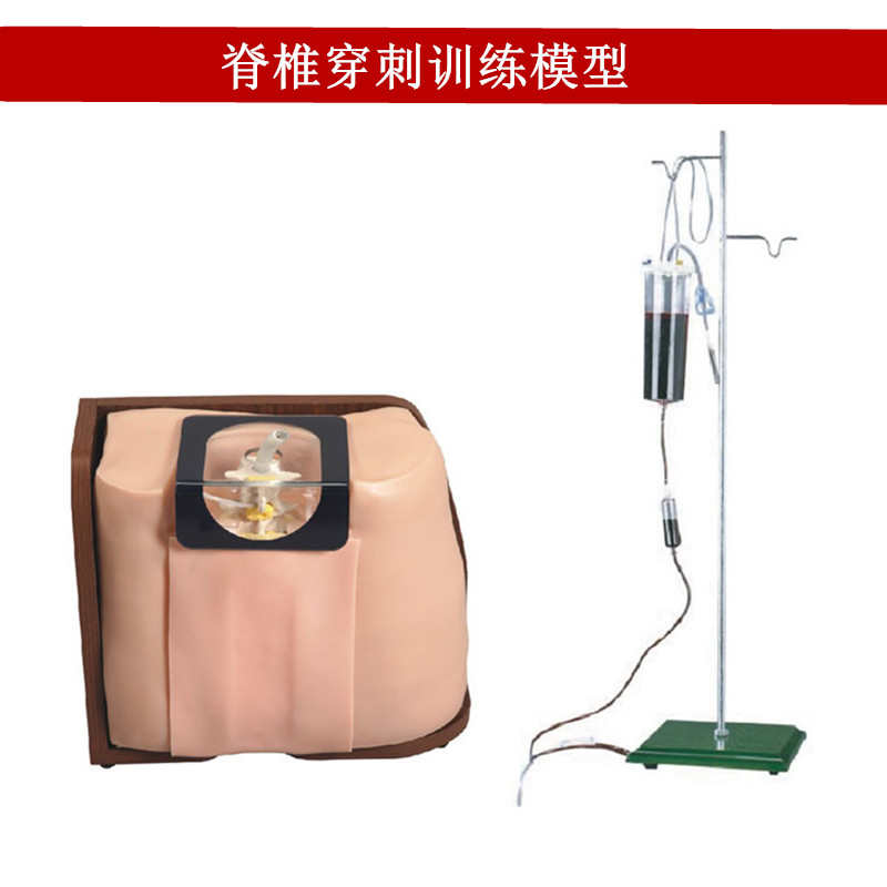 脊椎穿刺训练模型脊柱注射模拟人腰椎全麻操作实习医学用教学模具