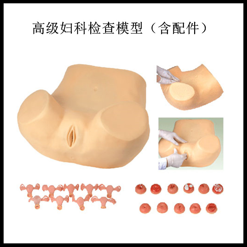 正品高级妇科检查模型女性检查训练模拟人人体模型教学培训模具