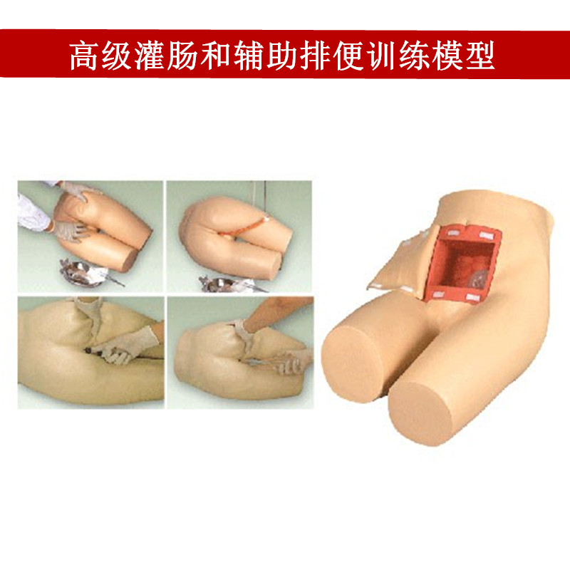 灌肠模型 辅助排便和灌肠训练习模型 医学用灌肠排便教学模型人体