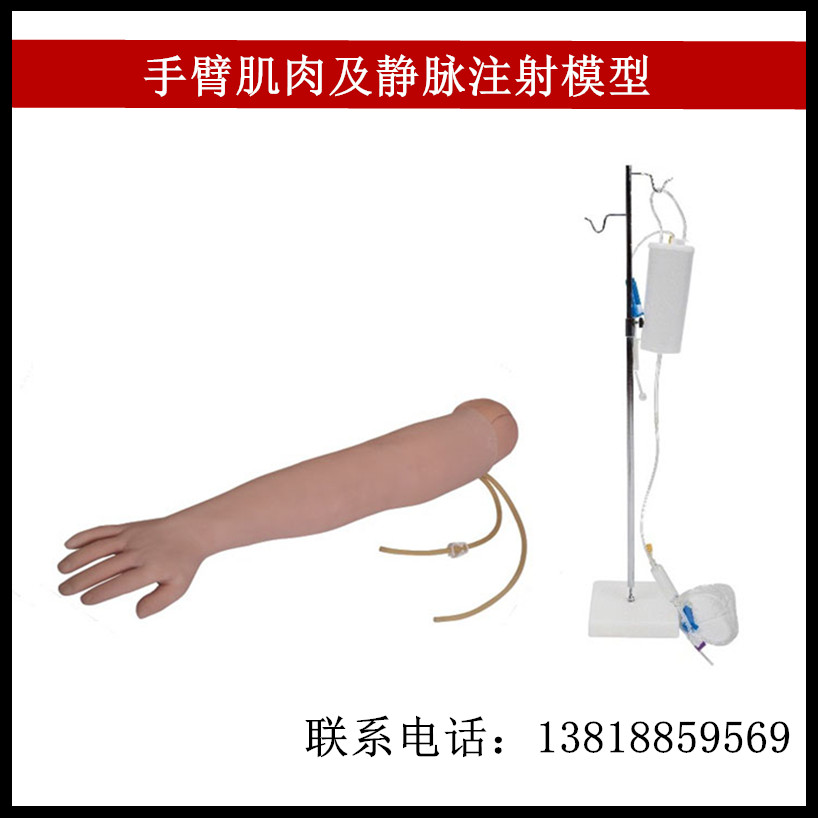 静脉输液手臂模型 手臂打针练习模型 手臂肌肉及静脉注射模型S1