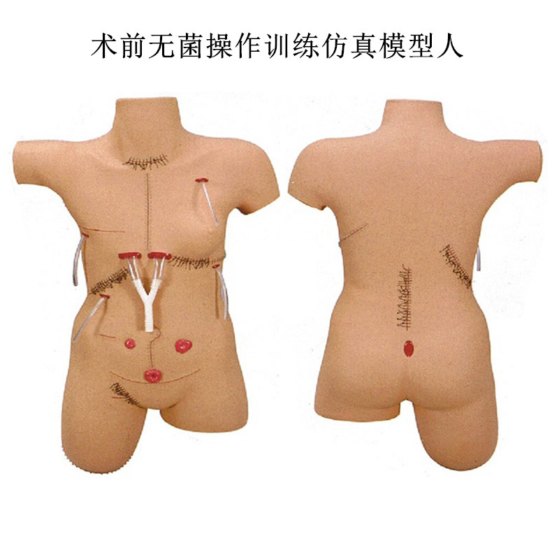 术前无菌操作训练仿真模型人