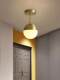 Light Luxury Nordic Led Ceiling Light for Hallway, Foyer Light, Modern Minimalist Cloakroom Lighting, Creative Entrance Light