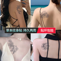 (3) gin carp tattooed stickers waterproof female persistent male arms chest front sexy thigh washing away from male juice