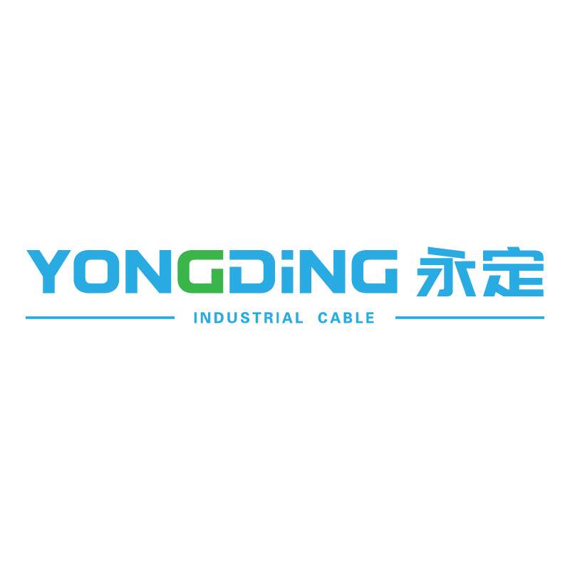 北京路飞特