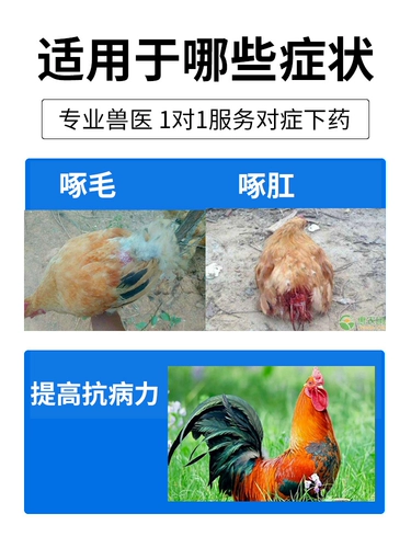 Аддитивная добавка зверя мульти -витамин золотой витамин его витамин В анти -стимул предотвращает стоп -перья Peck Anal