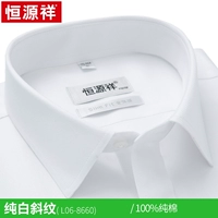 Бесплатное гладение длинные рукава 8660 Pure White Twill