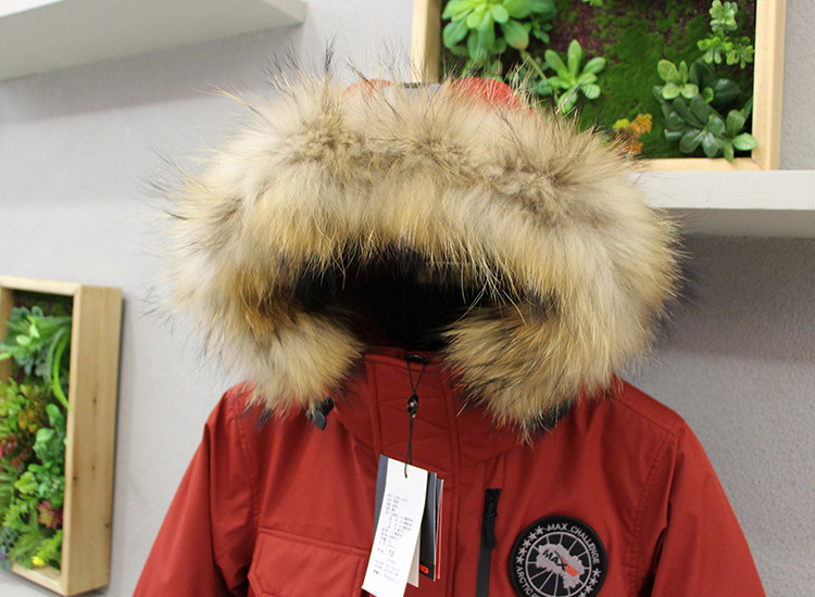 Blouson homme MAXCHALLENGE       en Polyester - Ref 3119907 Image 12