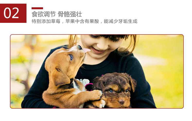 波奇 Được ưa chuộng nhất là món thịt gà hầm xương Teddy chú chó VIP dính răng sạch xương 100g đồ ăn nhẹ cho chó - Đồ ăn vặt cho chó thức ăn cho chó giá rẻ