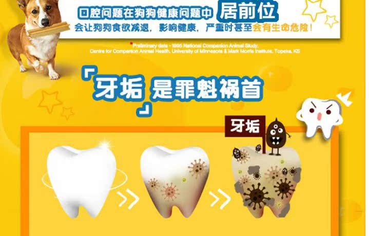 网 Thanh răng chó nhỏ và vừa trưởng thành 75g * 3 que mol VIP Teddy pet dog dog - Đồ ăn vặt cho chó sữa royal canin