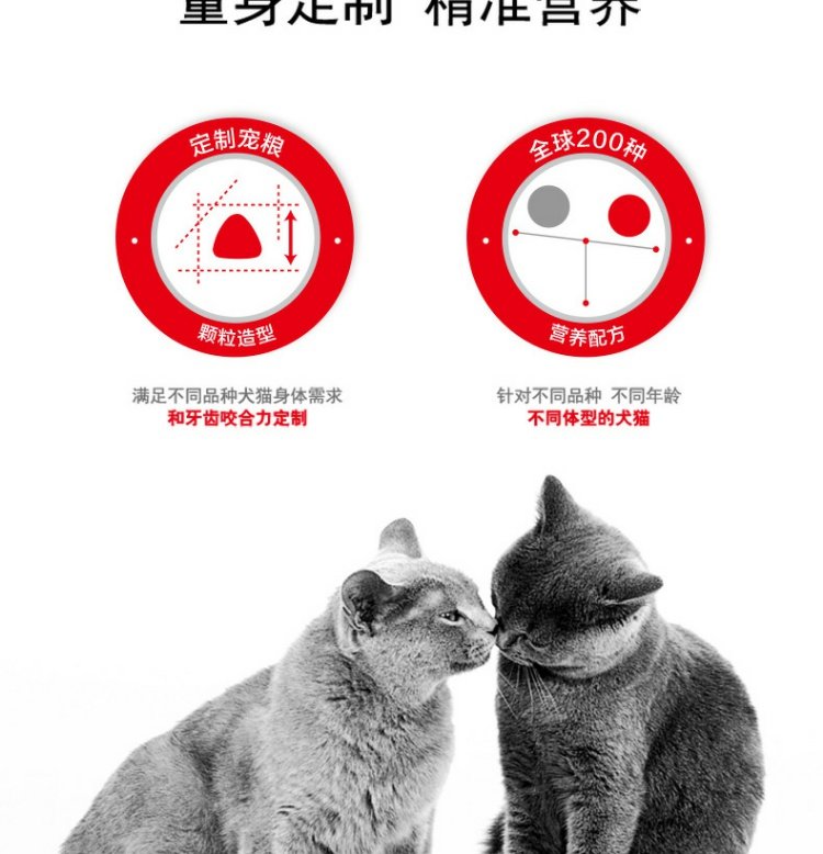 Boqi Net Royal Cat Food Chăm sóc tiệt trùng Thức ăn cho mèo SA37 / 0,4kg * 3 Thức ăn cho mèo ngắn của Anh 25 Tỉnh - Cat Staples thức ăn cho mèo ta