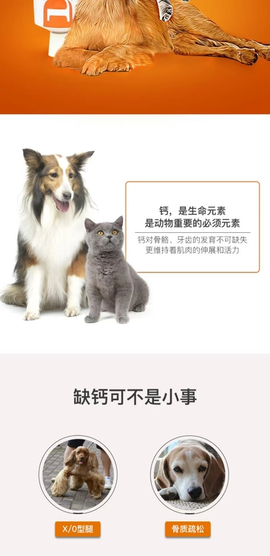 网 peptide bột kem canxi Labrador hơn sức khỏe của xương - Cat / Dog Health bổ sung