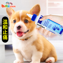 Vic pet special eye cleaning eye wash liquid than bear dog cat universal eye drops Eye drops to remove tears Dog supplies