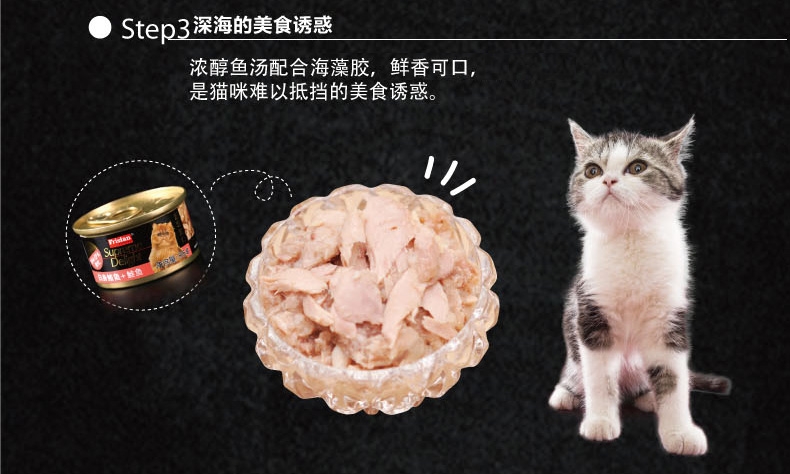 Pocci net pet đồ ăn nhẹ R & F mèo tươi đóng hộp mực ống mực trắng 85 gam pet mèo đồ ăn nhẹ đa hương vị Hạt cho mèo trưởng thành