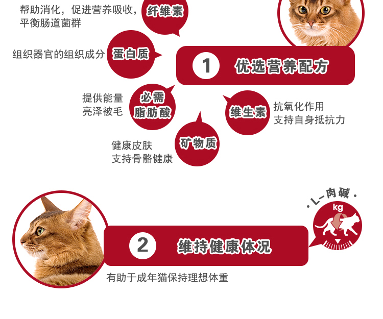 Boqi mạng thực phẩm mèo hoàng gia Pháp lý tưởng cơ thể thành thức ăn cho mèo cưng mèo F32 thức ăn cho mèo 15kg25 tỉnh - Cat Staples thức ăn mèo con
