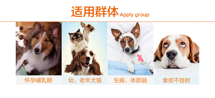 Kem dinh dưỡng Gudeng 120g Mèo và Chó Thú cưng phổ thông Tốc độ bổ sung Teddy Golden Hair Husky dinh dưỡng - Cat / Dog Health bổ sung sữa bột cho mèo sơ sinh	