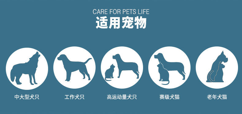 网 Weiscom mèo và chó nói chung xương cá mập canxi chondroitin hạt chung 300g25 tỉnh - Cat / Dog Health bổ sung sữa cho chó rẻ