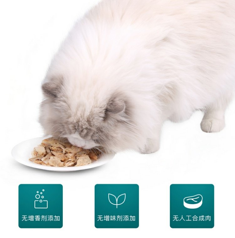 Pocci Net Yi Qin Pet mèo ăn nhẹ sò điệp súp cá hồi 2 que 40G gói thức ăn ướt mèo ăn nhẹ royal canin cho mèo con