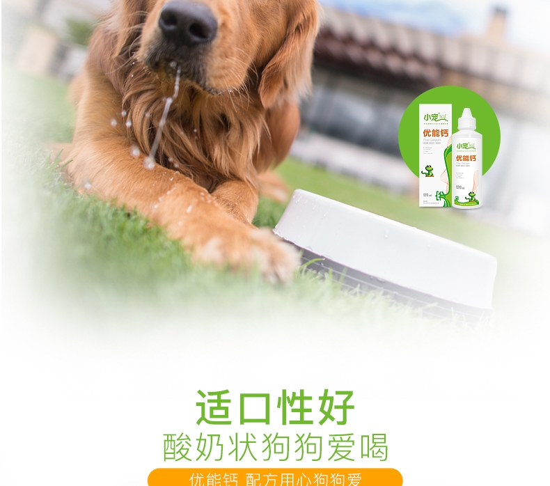 Thú cưng nhỏ EHD canxi thú cưng tuyệt vời cho mèo bổ sung canxi 120ml canxi dạng lỏng Viên nén canxi Teddy - Cat / Dog Health bổ sung 	sữa cho mèo con uống