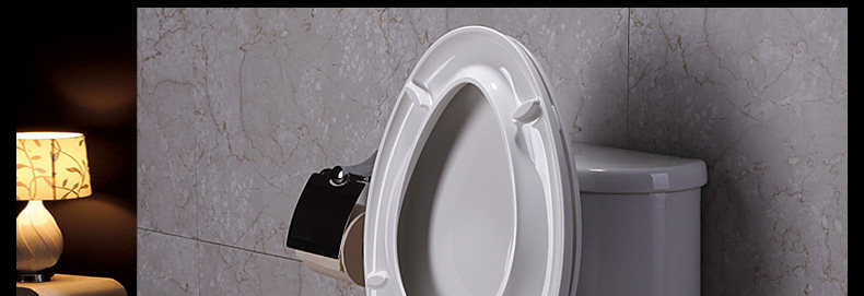 5171-toilet_30.jpg