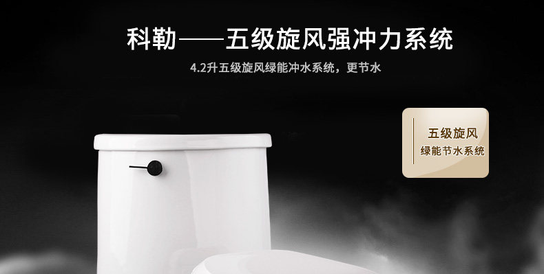 5171-toilet_01.jpg