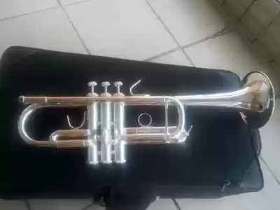 C-tune Trumpet Grace Trumpet Grace C-tune Trumpet