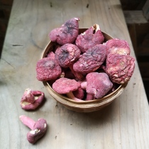 New goods new Chinese mainland red mushroom authentic Yuezi Red Girl mushroom nutrition menu specialty dry soup