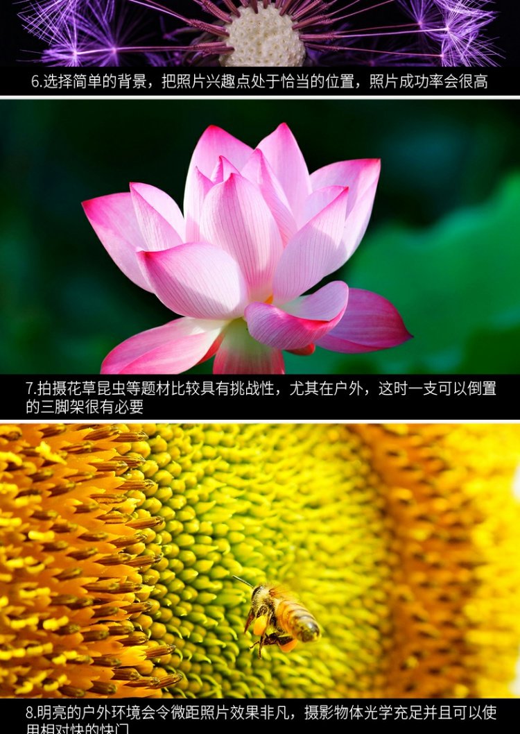 Yuanhang camera cận cảnh ống kính 77 ống kính macro SLR Canon Nikon Sony Fuji vi đơn 72 40,5 49 52 55 58 62 67 ống kính 82mm lọc + 2 + 4 + 8 + 10 kính lúp - Phụ kiện máy ảnh DSLR / đơn túi đựng lens