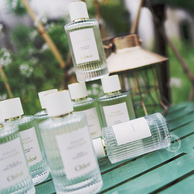 Chloe's Wonderland Garden: Narcissus, Iris, Ylang-Ylang, Northern Cedar, Magnolia, Orange Blossom, Hibiscus, Papyrus, Tuberose, Etc Chloe's Wonderland Garden: Narcissus, Iris, Ylang-Ylang, Northern Cedar, Magnolia, Orange Blossom, Hibiscus, Papyrus, Tuberose, Etc