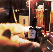 Spot RE Tuning Room Peach Blossom Source Remember Fresh Sweetness Girl Water Honey Peach Bespoke Brand Smoked Candle