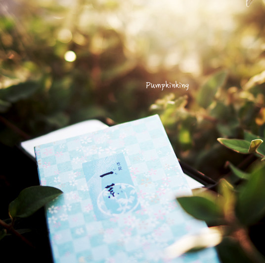 Melon Meow Incense Okuno Seimeido Confidently Made One Leaf Smokeless New Version Sunshine on the Plants