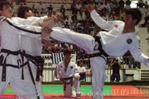 Hwarang Martial Arts ITF Wood Brick Taekwondo Performance Board Whole White Pine Jiangsu Zhejiang Shanghai and Anhui from 2 boxes