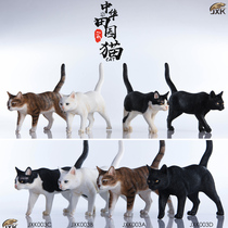 Spot JXK 1 6 soldiers use Chinese pastoral cat series JxK003 ornaments static animal model