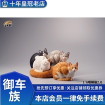 Spot JXK 1 6 Sleepy Cat 2 0 JXK083 pet static model hand can be equipped with 12 inch doll