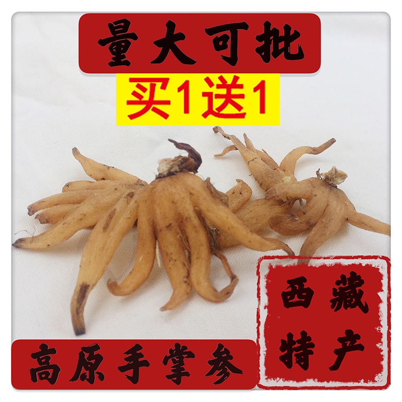 Tibetan specialty grade wild Bergamot five-fingered ginseng palm ginseng Wangla Chinese herbal medicine powder with a total of 250g of yin and yang grass