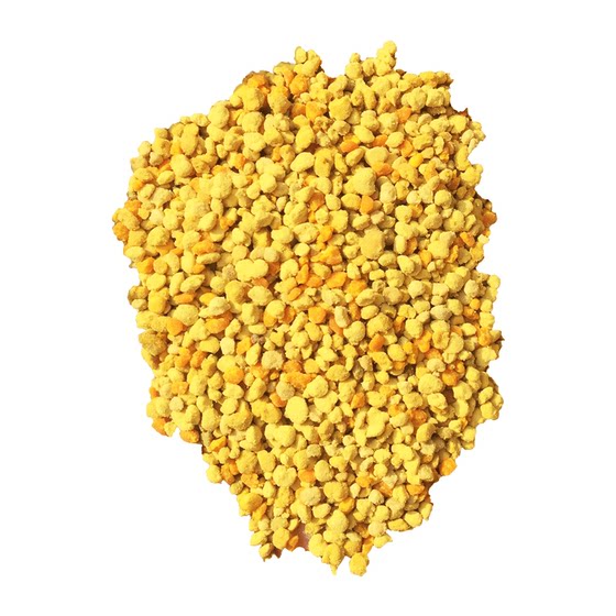 Rapeseed pollen feeds bees, beekeeping pollen, bees special natural bee feed pollen particles, Italian bees