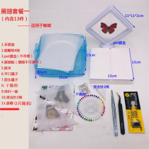 Butterfly insect specimen Pre-employment Training Tool Custom Link Children