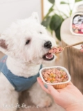 [Пятно] Sishan Sand Dog Glitter изысканный сериал Full Box 24 Can Can Dog Pet Grain Snacks