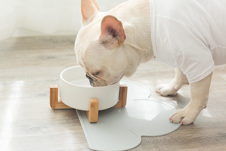 Sugar ball chị dễ thương đám mây placemat pet dog cat chống trượt mat Không thấm nước dễ dàng để làm sạch con chó bát thức ăn bát mat - Cat / Dog hàng ngày Neccessities 	bát ăn cho chó to