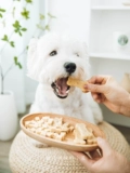 Корейская природа Core Pet Dog Snack Fruet Fruet Chees