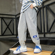 Boys' fleece pants autumn winter 2022 new sports sweatpants large children's handsome casual ankle pants