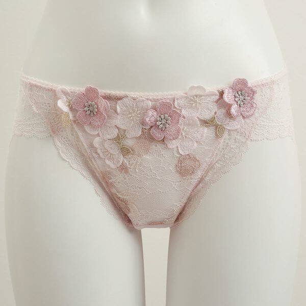 Japanese native WACOAL TREFLE exquisite luxury three-dimensional embroidered briefs made in Japan 708