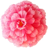 Детский танцевальный реквизит, ручная цветочная пиони цветочный зонтик рука исполнил большой квадратный танец цветочной квадрат взрослый