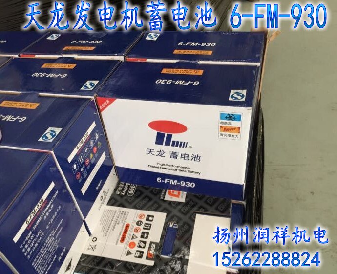Generator set Tianlong maintenance-free battery 6-FM-930 830 720 670 550 Generator battery